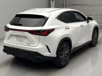 Lexus NX лот № 10060 оценка R  с аукциона в Японии 1