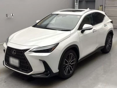 Lexus NX  с аукциона в Японии