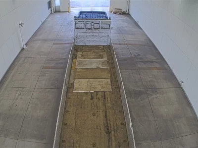 Hino PROFIA  с аукциона в Японии