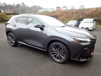 Lexus NX лот № 33532 оценка 5  с аукциона в Японии 3