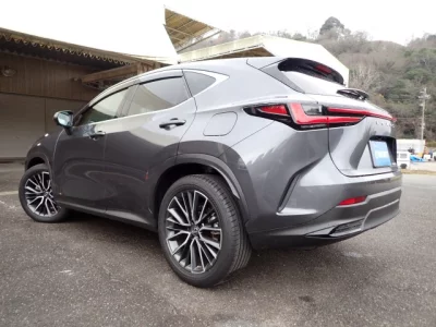 Lexus NX  с аукциона в Японии
