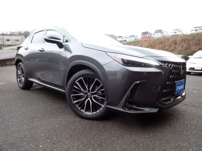 Lexus NX  с аукциона в Японии