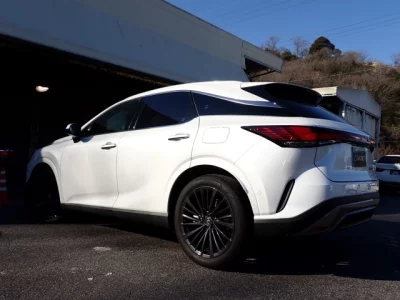 Lexus RX  с аукциона в Японии