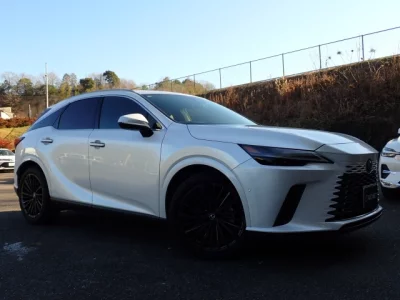 Lexus RX  с аукциона в Японии