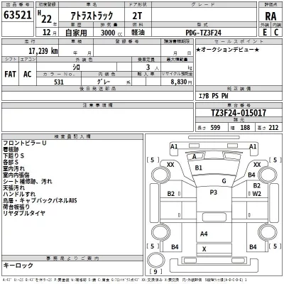 Nissan ATLAS  с аукциона в Японии
