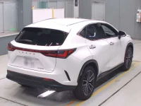 Lexus NX лот № 30029 оценка 5  с аукциона в Японии 1