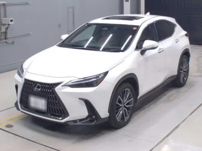 Lexus NX  с аукциона в Японии