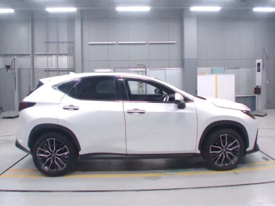Lexus NX  с аукциона в Японии