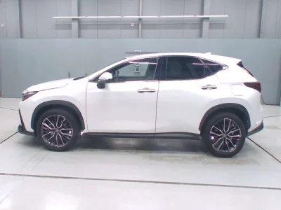 Lexus NX  с аукциона в Японии