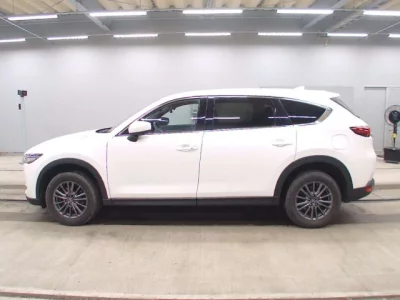 Mazda CX-8  с аукциона в Японии