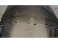 Volkswagen THE BEETLE лот № 38272 оценка 4  с аукциона в Японии 10