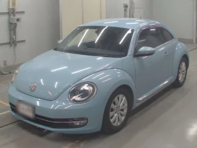 Volkswagen THE BEETLE