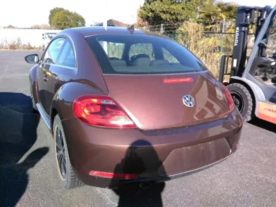 Volkswagen THE BEETLE