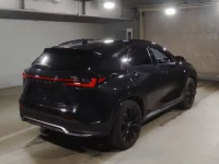 Lexus NX лот № 10003 оценка 4.5  с аукциона в Японии 1