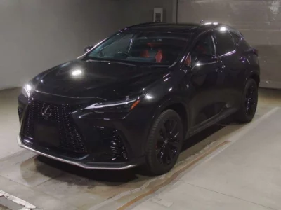 Lexus NX  с аукциона в Японии