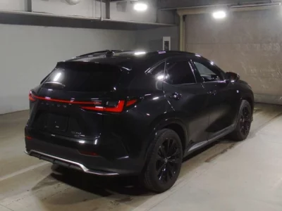 Lexus NX  с аукциона в Японии