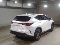 Lexus NX лот № 10024 оценка 4.5  с аукциона в Японии 1