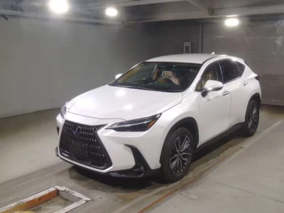 Lexus NX  с аукциона в Японии