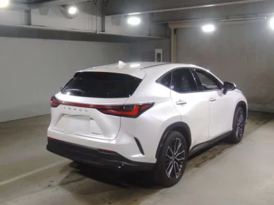 Lexus NX  с аукциона в Японии