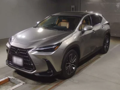 Lexus NX  с аукциона в Японии
