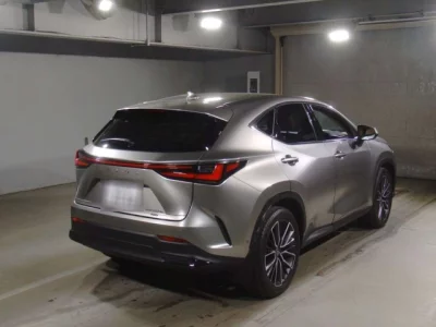 Lexus NX  с аукциона в Японии