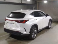 Lexus NX лот № 10056 оценка 4.5  с аукциона в Японии 1