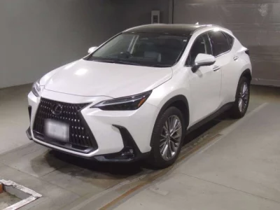 Lexus NX  с аукциона в Японии