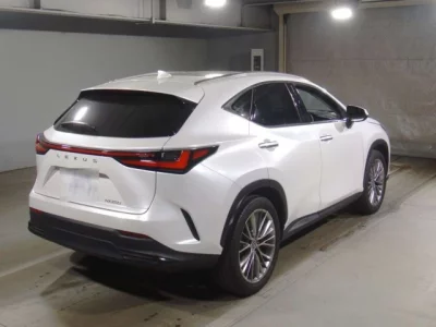 Lexus NX  с аукциона в Японии