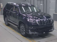 Toyota LAND CRUISER PRADO лот № 30333 оценка 5  с аукциона в Японии 4
