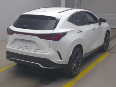 Lexus NX  с аукциона в Японии