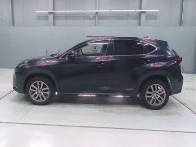 Lexus NX  с аукциона в Японии