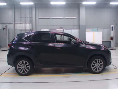 Lexus NX  с аукциона в Японии
