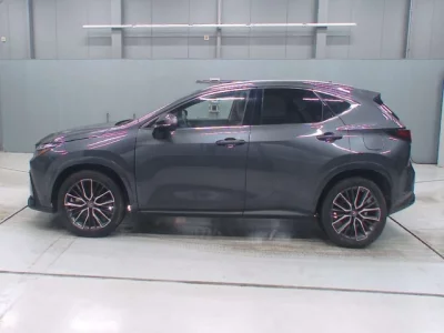 Lexus NX  с аукциона в Японии