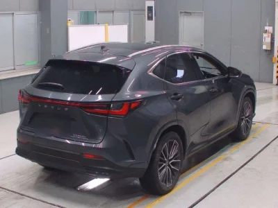 Lexus NX  с аукциона в Японии
