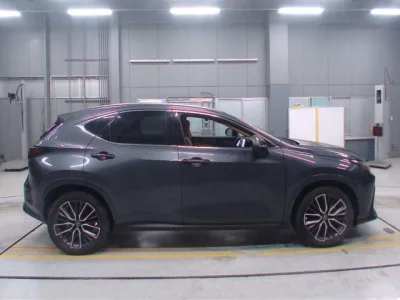 Lexus NX  с аукциона в Японии