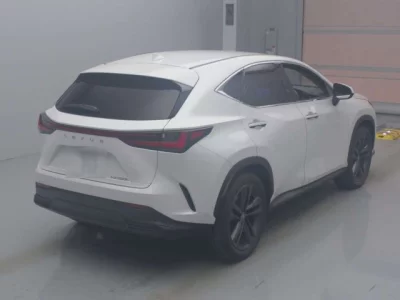 Lexus NX  с аукциона в Японии