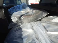 Volkswagen GOLF лот № 38089 оценка 4  с аукциона в Японии 10