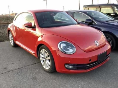 Volkswagen THE BEETLE
