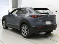 Mazda CX-30 лот № 33113 оценка 5  с аукциона в Японии 5