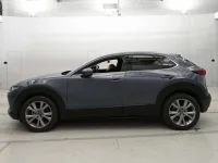 Mazda CX-30 лот № 33113 оценка 5  с аукциона в Японии 3