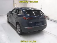 Mazda CX-30 лот № 60087 оценка 4.5  с аукциона в Японии 1