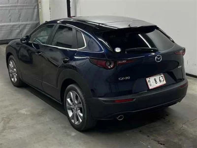 Mazda CX-30  с аукциона в Японии