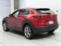 Mazda CX-30 лот № 36283 оценка 4  с аукциона в Японии 5