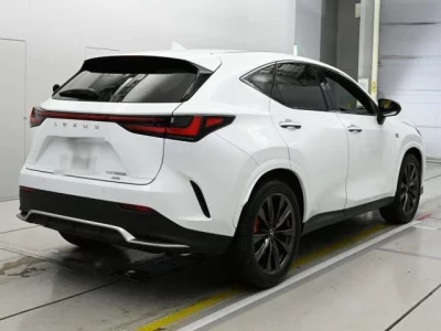 Lexus NX  с аукциона в Японии