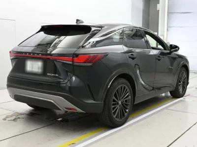 Lexus RX  с аукциона в Японии