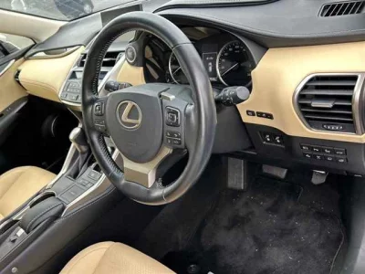 Lexus NX  с аукциона в Японии