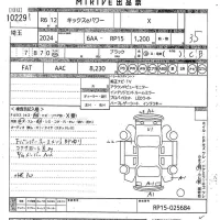 Nissan KICKS лот № 10229 оценка 3.5  с аукциона в Японии 10