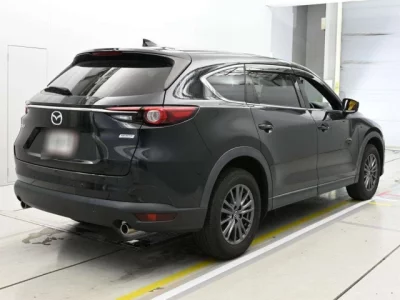 Mazda CX-8  с аукциона в Японии