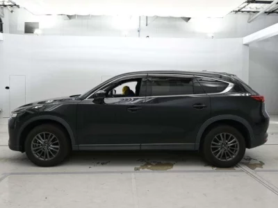 Mazda CX-8  с аукциона в Японии