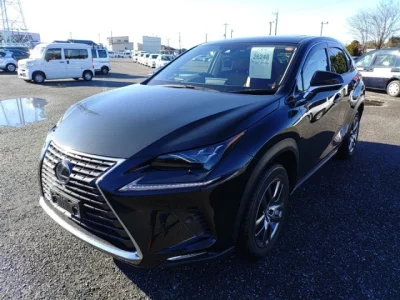 Lexus NX  с аукциона в Японии